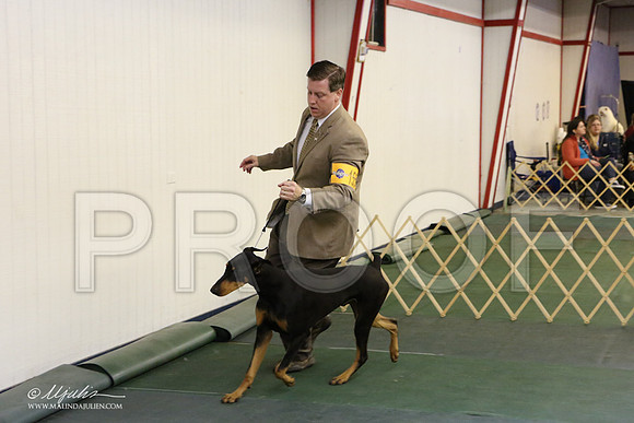 dobe-2752-LR
