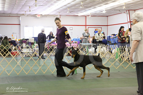 dobe-3659-LR