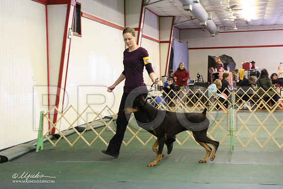 dobe-3667-LR