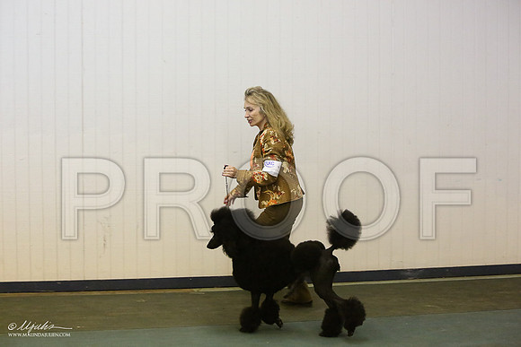 PoodStd-6249-LR