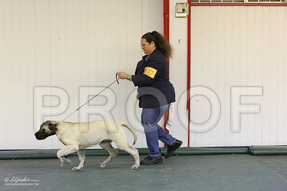 PBis-6472-LR