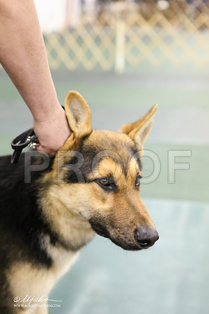 GSD-3325-LR