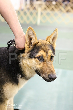 GSD-3327-LR