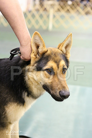 GSD-3326-LR