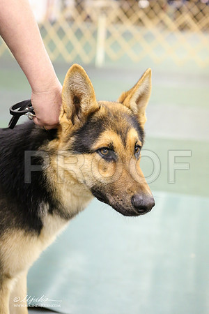 GSD-3328-LR