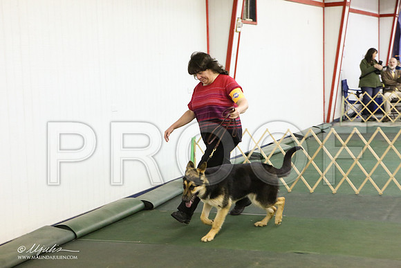 GSD-3335-LR