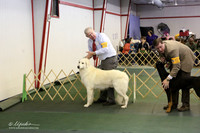 Guardian Group Sat S1 Ring LR Denton Mar 2013