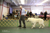 Guardian Group Sat S2 Ring LR Denton Mar 2013