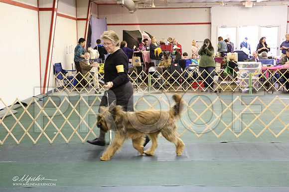 HerdGr-3467-LR