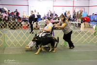 Herding Group Sat S2 Ring LR Denton Mar 2013