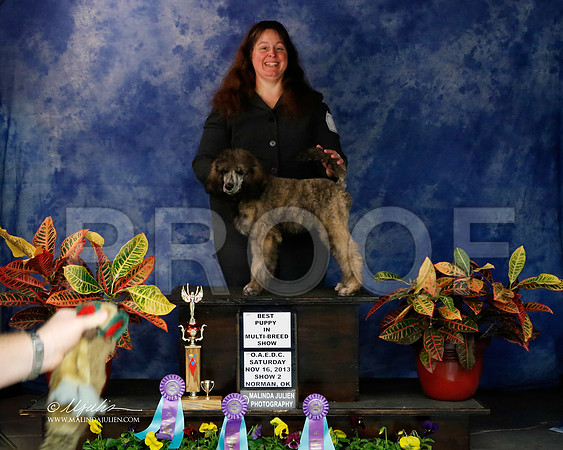 PdMC-9115-NormNov2013-HR