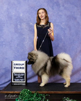 Keeshond Sat S2 G3 Chanse Boehringer LR Denton Mar 2013