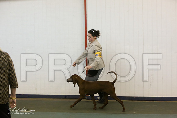 RBC-4918-LR