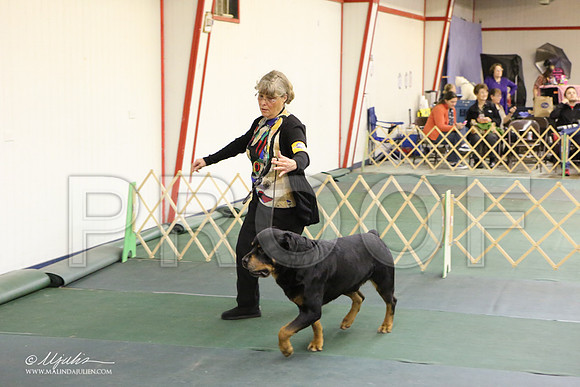 Rott-2982-LR
