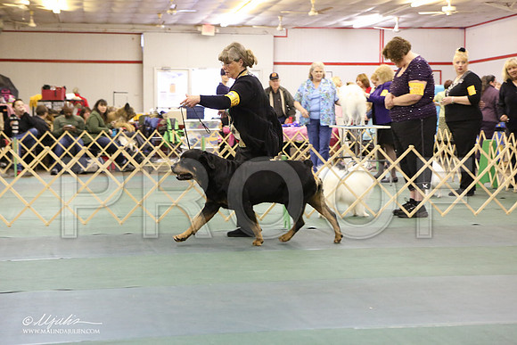 Rott-2983-LR