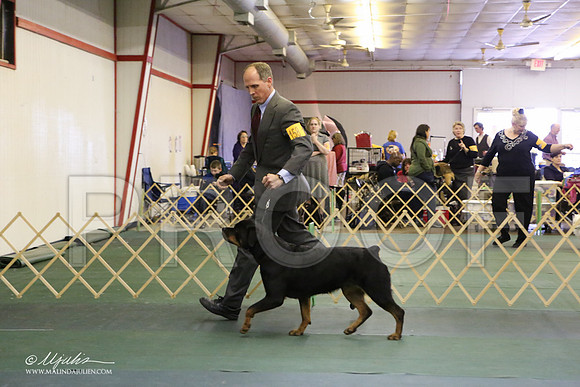 Rott-3859-LR