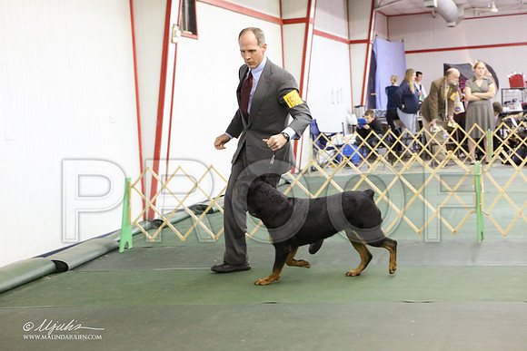 Rott-3877-LR