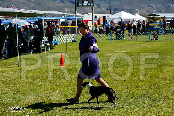 _JJ_5353-AlamogordoOct2014-HR3