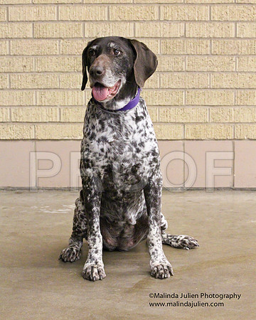 GSP-0171