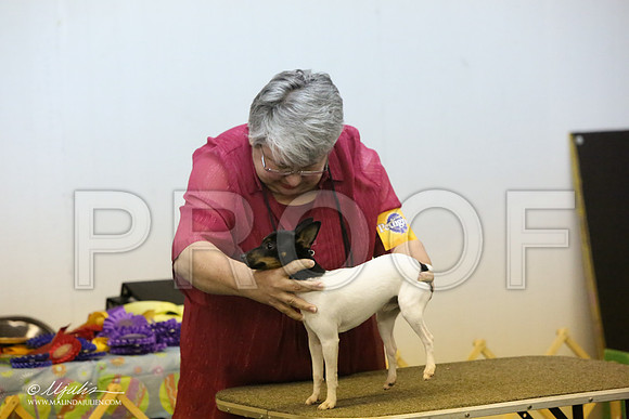 TFT-5526-LR