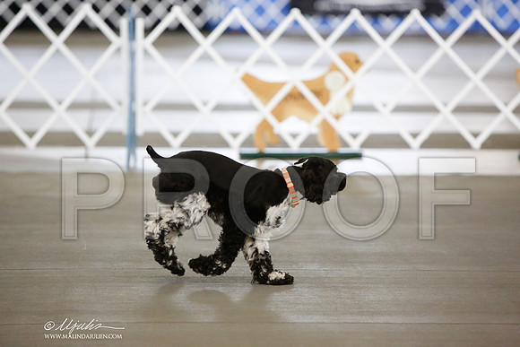 _JN_8652-DallasJul2014-HR3