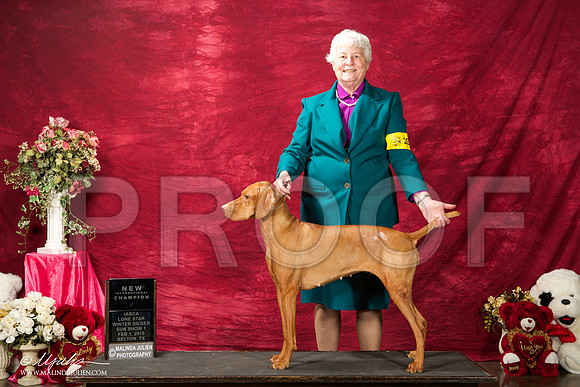 _ST_2918-BeltonJan2015IABCA-HR3