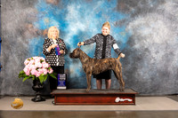 Cane Corso #10 Thur WB Judge Karen McFarlane