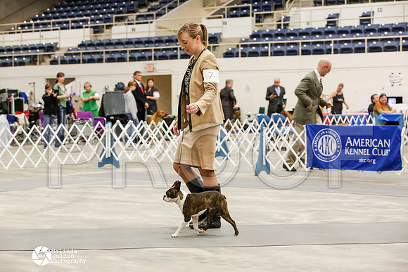_JJ_7203-AblnMay2014-web