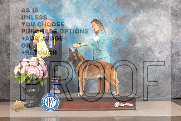 Belgian Malinois #7 FRI G3 Judge John Wade_MJ_5981_Houston_2022_HR3
