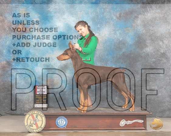 Doberman Pinscher #12 Fri BOSBOW Judge Donnelle RichardsMMJ_2918_Mdlnd2022_HR3
