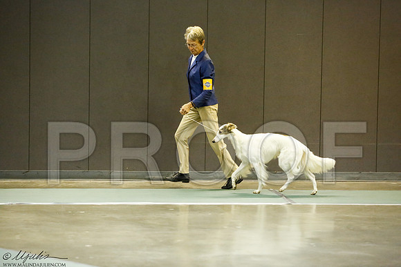 _J3L6983-BeltSep2014-HR