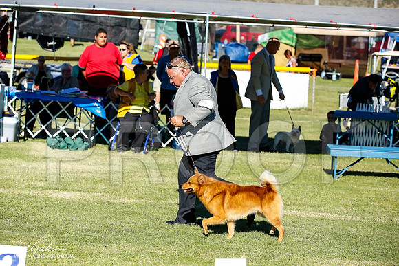 _JN_9650-AlamogordoOct2014-HR3