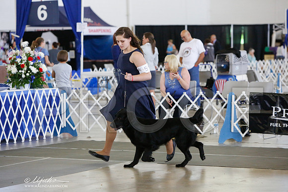 _JJ_1267-DallasJul2014-HR3