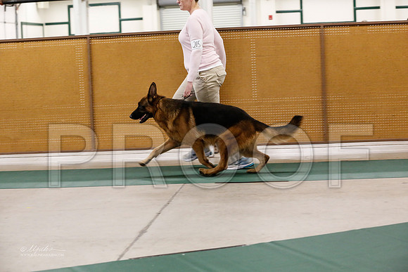 GSD-4916-NormanNov13-HR