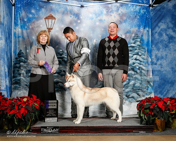_ST_9263-2-DallasDec2014-HR3