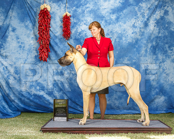 _ST_3753-AlamogordoOct2014-HR3