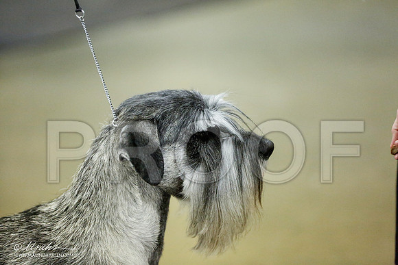 _RH_1871-BeltonJan2015IABCA-HR3