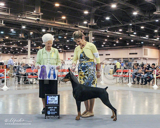 WPWDNC-6144 PROOF