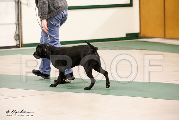 _JN_0908-NrmnNov2014-HR3