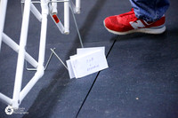 Best of Breed Sat Ring 2