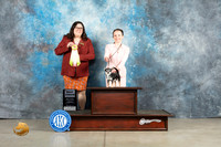 Chihuahua Smooth #750 Thur BJr Judge Sherry Patton