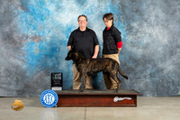 Dutch Shepherd #35 Thur BMISCOM Judge Elizabeth Muthard