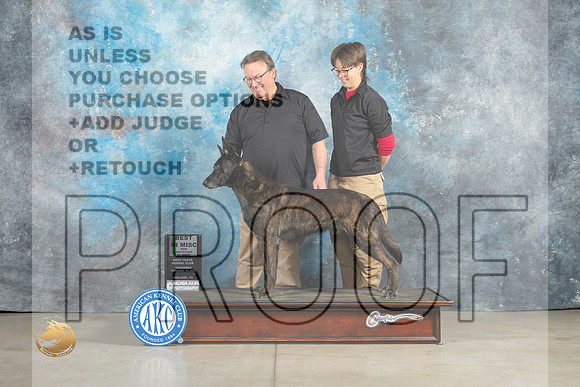Dutch Shepherd #35 Thur BMISCOM Judge Elizabeth Muthard_MJ_0259_Midland2023_HR3
