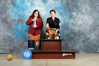 French Bulldog #10 Thur BOWBOS Judge Sherry Patton