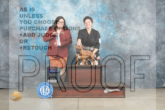 French Bulldog #10 Thur BOWBOS Judge Sherry Patton_MJ_0263_Midland2023_HR3