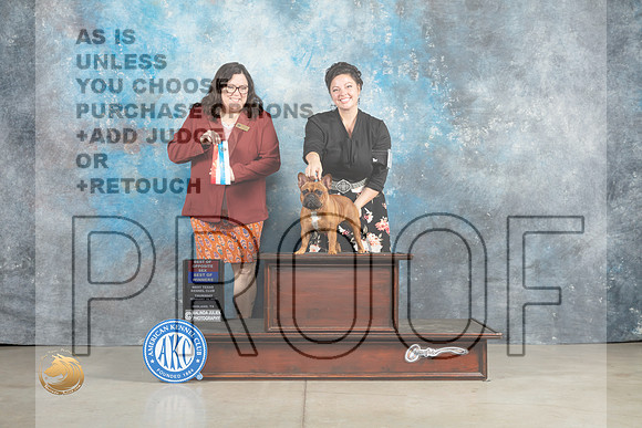 French Bulldog #10 Thur BOWBOS Judge Sherry Patton_MJ_0265_Midland2023_HR3