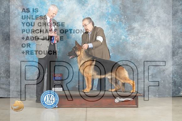 German Shepherd Dog #9 Thurs BOWBOS Judge Jon Cole_MJ_0252_Midland2023_HR3