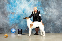 Borzoi #? Thurs WD Judge Elizabeth Muthard