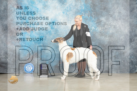 Borzoi #? Thurs WD Judge Elizabeth Muthard _MJ_0314_Midland2023_HR3