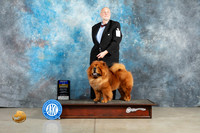 Chow #5 Thur BOB Judge Elizardo Valadez